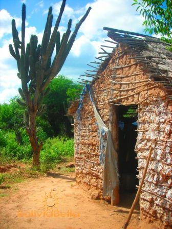 Bolivian Houses. Bolivian Traditions. Typical Bolivia Homes and Dwellings