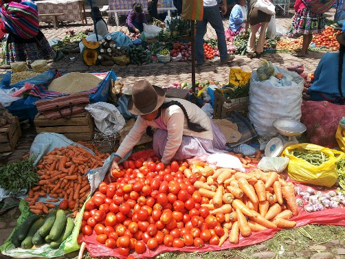 Bolivia outdoor markets bartering shopping