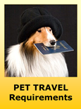 Requirements for Traveling with Pets to Bolivia