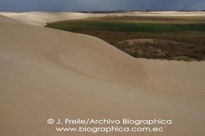 Lomas de Arena Sand Dunes in Santa Cruz Bolivia