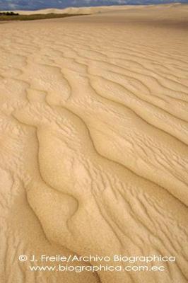 Lomas de Arena Sand Dunes in Santa Cruz Bolivia