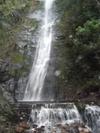 One of the bigger waterfalls outside of Coroico, Bolivia