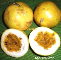 bolivian food fruit maracuya
