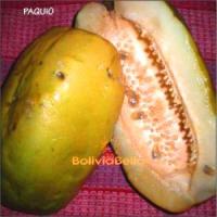 bolivian food fruit pachio paquio